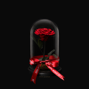 Flores Eternas