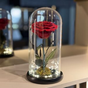 Rosa Preservada Roja en Cupula de Cristal