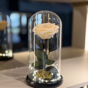Rosa Preservada Blanca en Cupula de Cristal