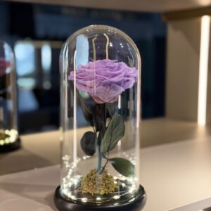 Rosa Preservada Lila en Cupula de Cristal