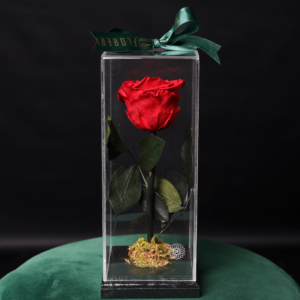 Rosa Preservada Roja